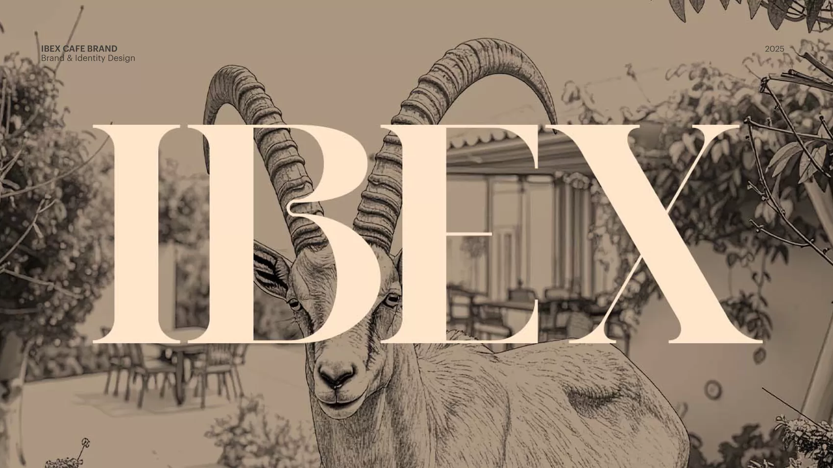 Ibex — slide 24 of 27